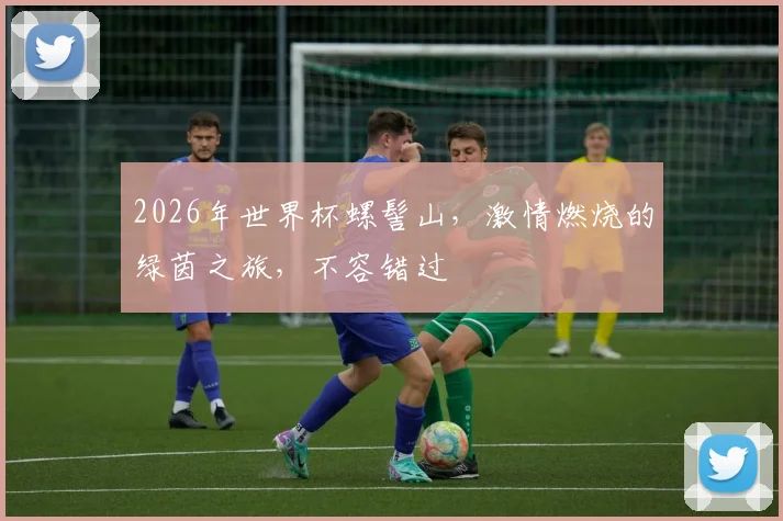 2026年世界杯螺髻山，激情燃烧的绿茵之旅，不容错过