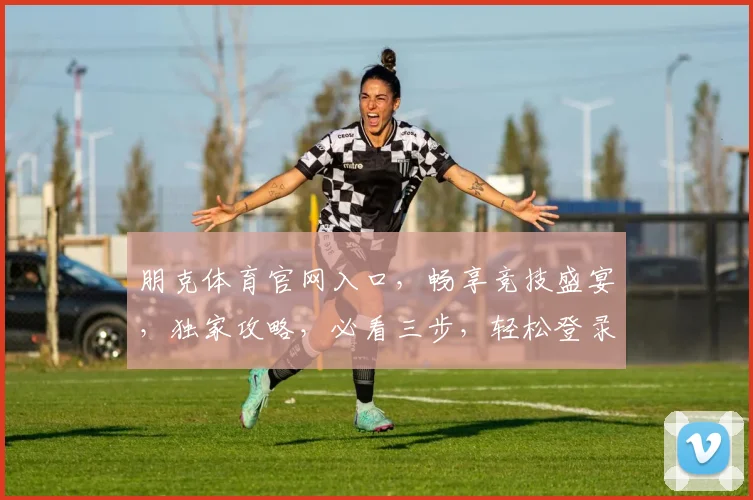 朋克体育官网入口，畅享竞技盛宴，独家攻略，必看三步，轻松登录