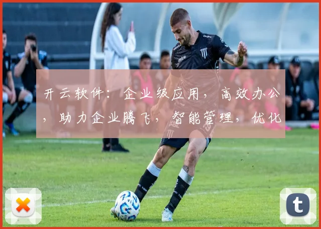 开云软件：企业级应用，高效办公，助力企业腾飞，智能管理，优化工作流程，体验非凡。